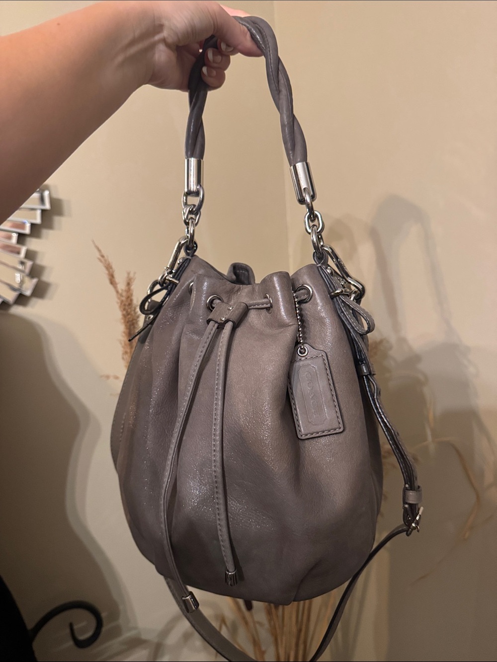Coach Leather Bucket Shoulder Bag in Gray